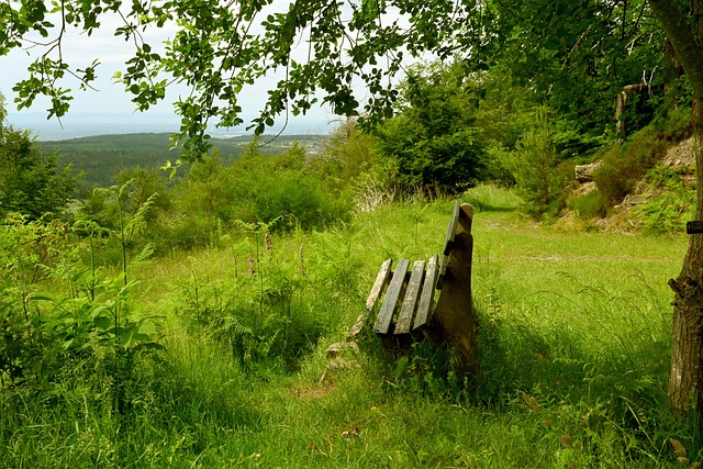 拔青年才俊 拔青年才俊